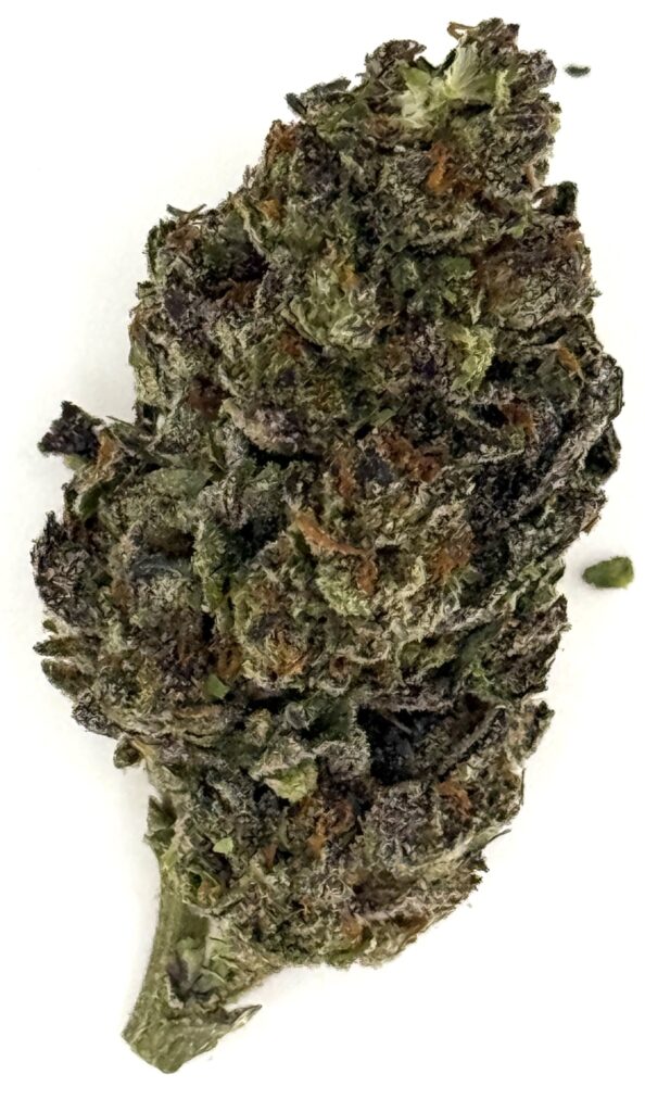 Close-up of a cannabis bud showcasing vibrant colors and textures for educational or informational use.