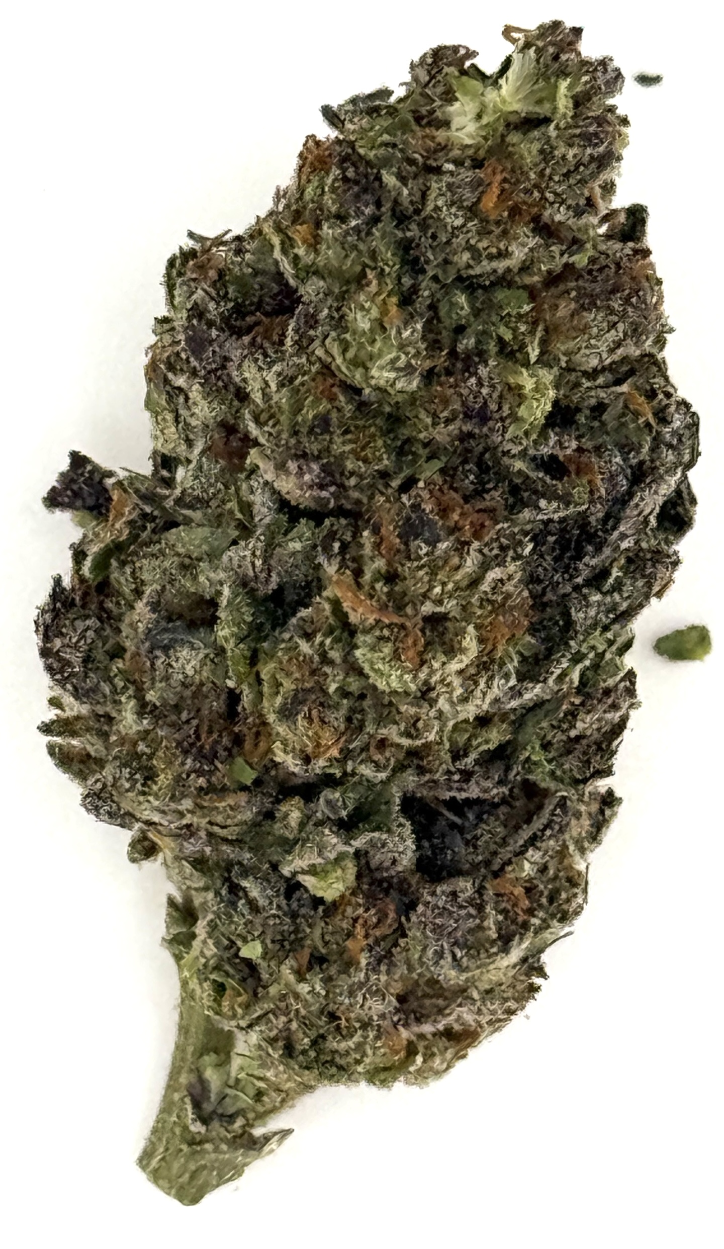 Push Pop 1 Close-up of a cannabis bud showcasing vibrant colors and textures for educational or informational use.