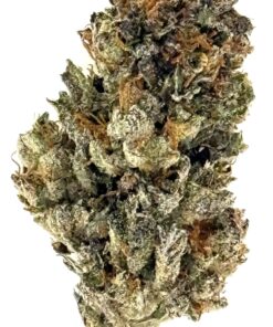 Close-up of a cannabis bud, showcasing its rich green colors and textured surface, highlighting its natural beauty.