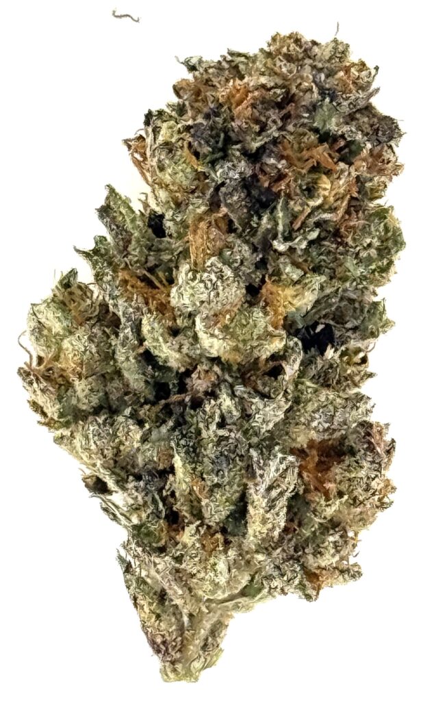 Close-up of a cannabis bud, showcasing its rich green colors and textured surface, highlighting its natural beauty.
