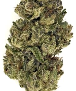 Close-up of a vibrant cannabis bud showcasing rich green colors and trichome crystals against a white background.