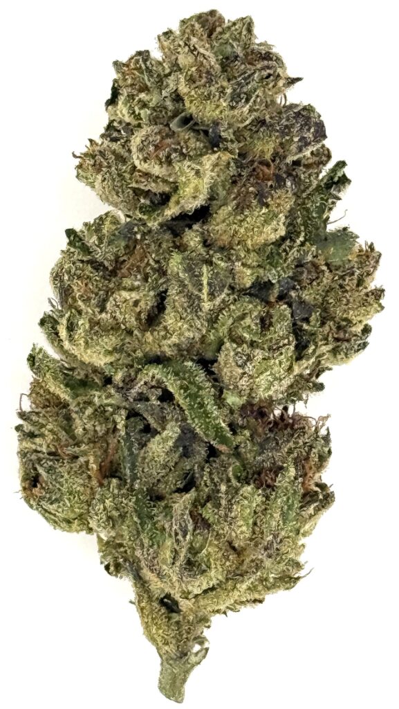 Close-up of a vibrant cannabis bud showcasing rich green colors and trichome crystals against a white background.