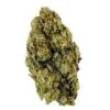Close-up of a dense cannabis bud, showcasing its green color and intricate trichome patterns on a white background.