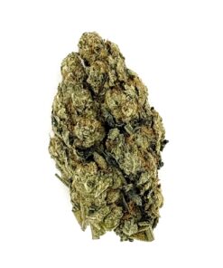 Close-up of a dense cannabis bud, showcasing its green color and intricate trichome patterns on a white background.