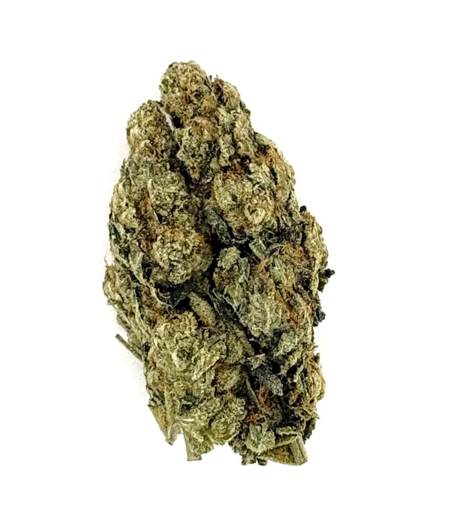 Close-up of a dense cannabis bud, showcasing its green color and intricate trichome patterns on a white background.