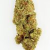Close-up of a dense cannabis bud with green and orange hues, showcasing its rich trichome texture on a white background.