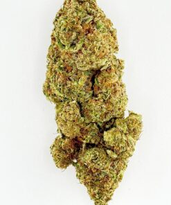 Close-up of a dense cannabis bud with green and orange hues, showcasing its rich trichome texture on a white background.