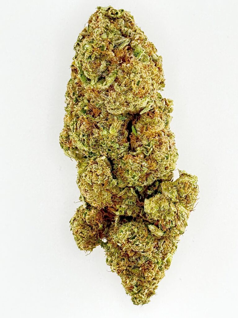 Close-up of a dense cannabis bud with green and orange hues, showcasing its rich trichome texture on a white background.