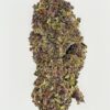Close-up of colorful cannabis bud showing rich textures and vibrant green and purple hues against a white background.