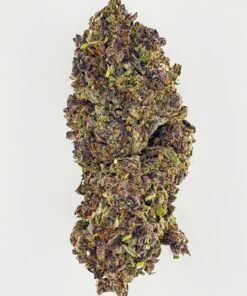 Close-up of colorful cannabis bud showing rich textures and vibrant green and purple hues against a white background.
