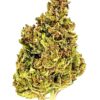 Green cannabis bud showcasing trichomes and vibrant colors against a white background. Ideal for educational purposes.