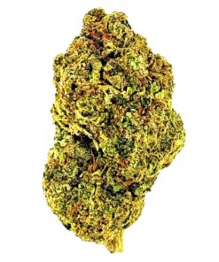 Close-up of a green cannabis bud showcasing its dense texture and vivid color, ideal for educational or product images.