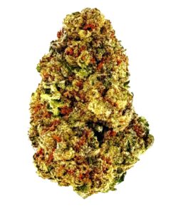 Close-up of a colorful cannabis bud featuring trichomes, vibrant hues of green, orange, and yellow against a white background.