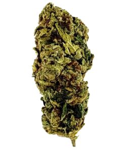 Close-up of a green cannabis bud with intricate textures, showcasing its natural details for educational and informational use.