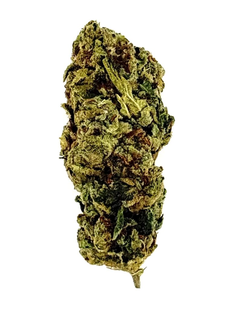 Close-up of a green cannabis bud with intricate textures, showcasing its natural details for educational and informational use.