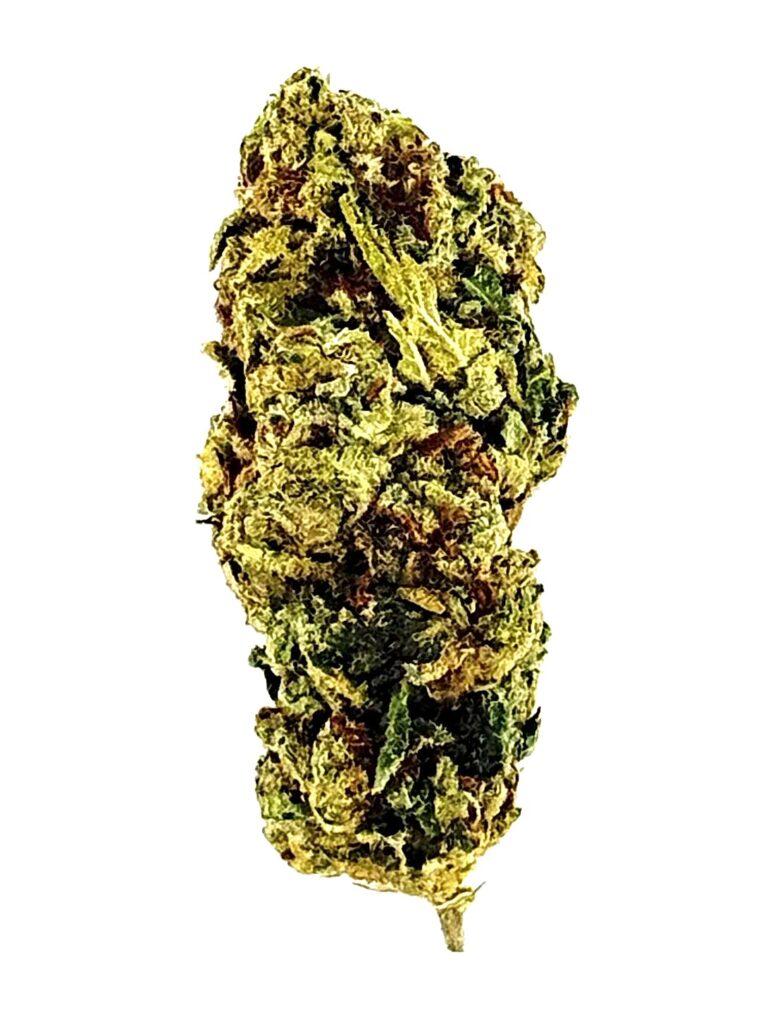 Close-up of a green and brown cannabis bud on a white background, showcasing its dense trichomes and rich texture.