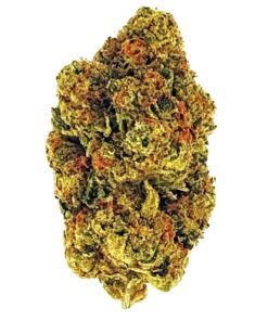 Close-up of a cannabis bud showcasing its vibrant green color and dense texture, emphasizing quality and potency.