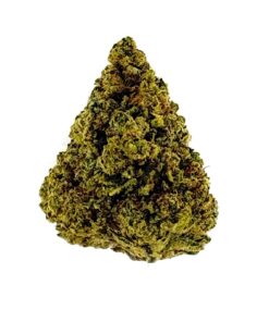 Close-up of a cannabis bud showcasing dense, green foliage and rich texture against a white background. Perfect for herbal use.