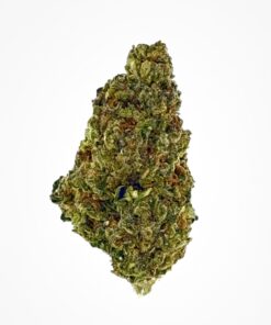 Close-up of premium cannabis bud with vibrant green and golden hues, showcasing rich trichomes and texture details.