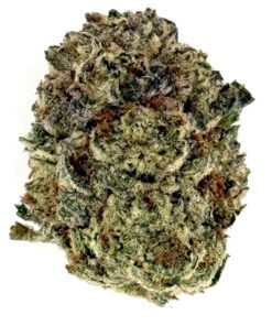 High-quality cannabis bud with rich green hues and visible trichomes, ideal for connoisseurs seeking premium strains.