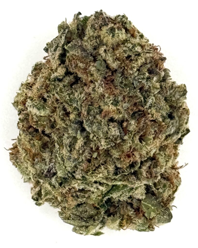 Close-up of a dense cannabis bud with vibrant green and brown hues, showcasing its rich texture and trichomes.