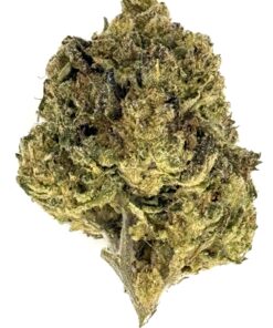 Close-up of a green cannabis bud showcasing its dense, trichome-covered texture against a white background.