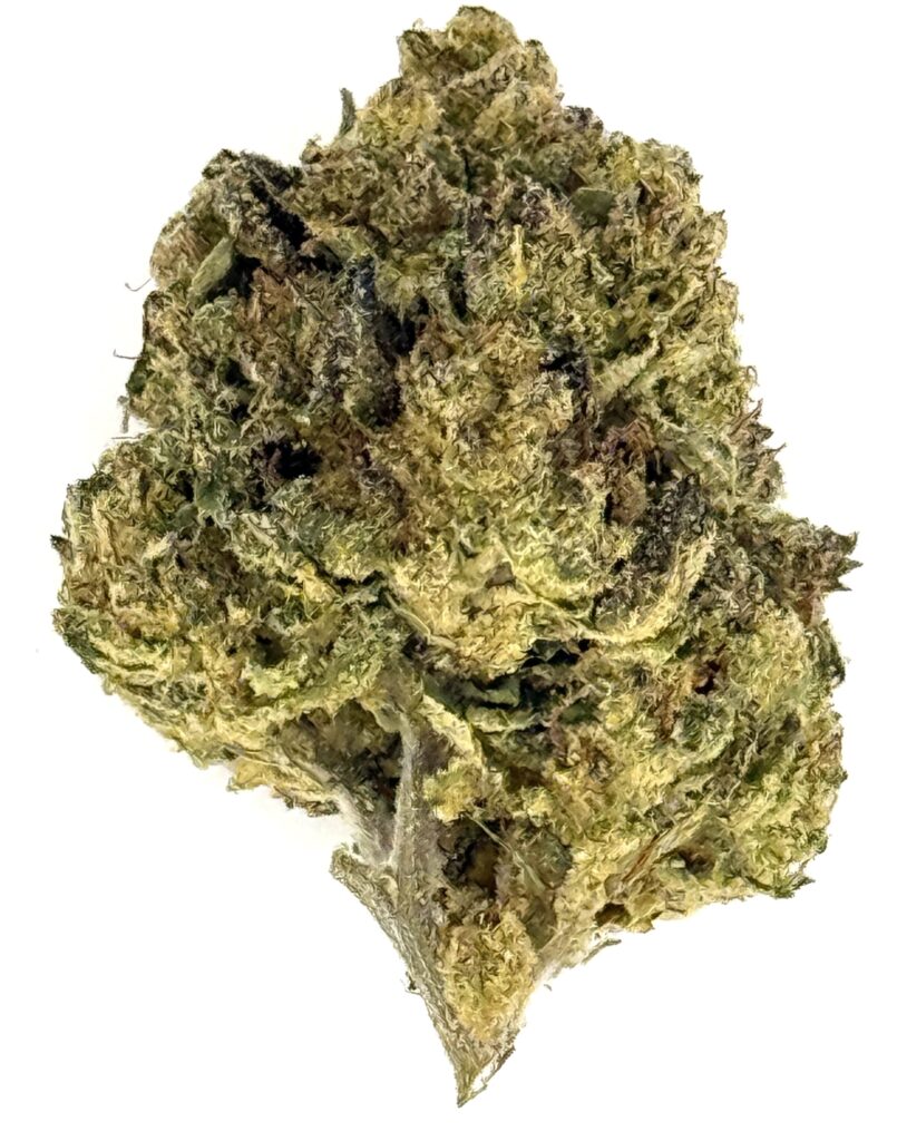 Close-up of a green cannabis bud showcasing its dense, trichome-covered texture against a white background.