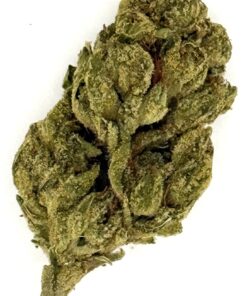 Close-up of high-quality cannabis bud with vibrant green colors and visible trichomes, ideal for analysis and marketing.