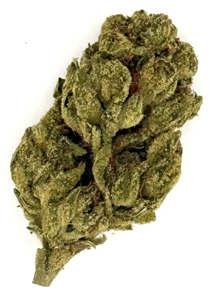Close-up of high-quality cannabis bud with vibrant green colors and visible trichomes, ideal for analysis and marketing.