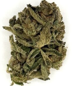 Image of a close-up view of cannabis buds with fine trichomes and green leaves, highlighting its rich texture and quality.