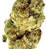 Close-up of a cannabis bud, showcasing its texture and trichomes against a white background for clarity.