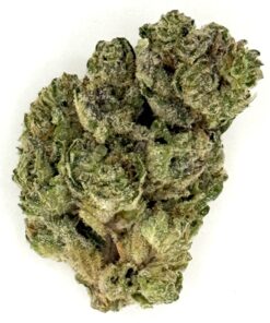 Close-up of a green cannabis flower showcasing its rich texture and frosty trichomes against a white background.