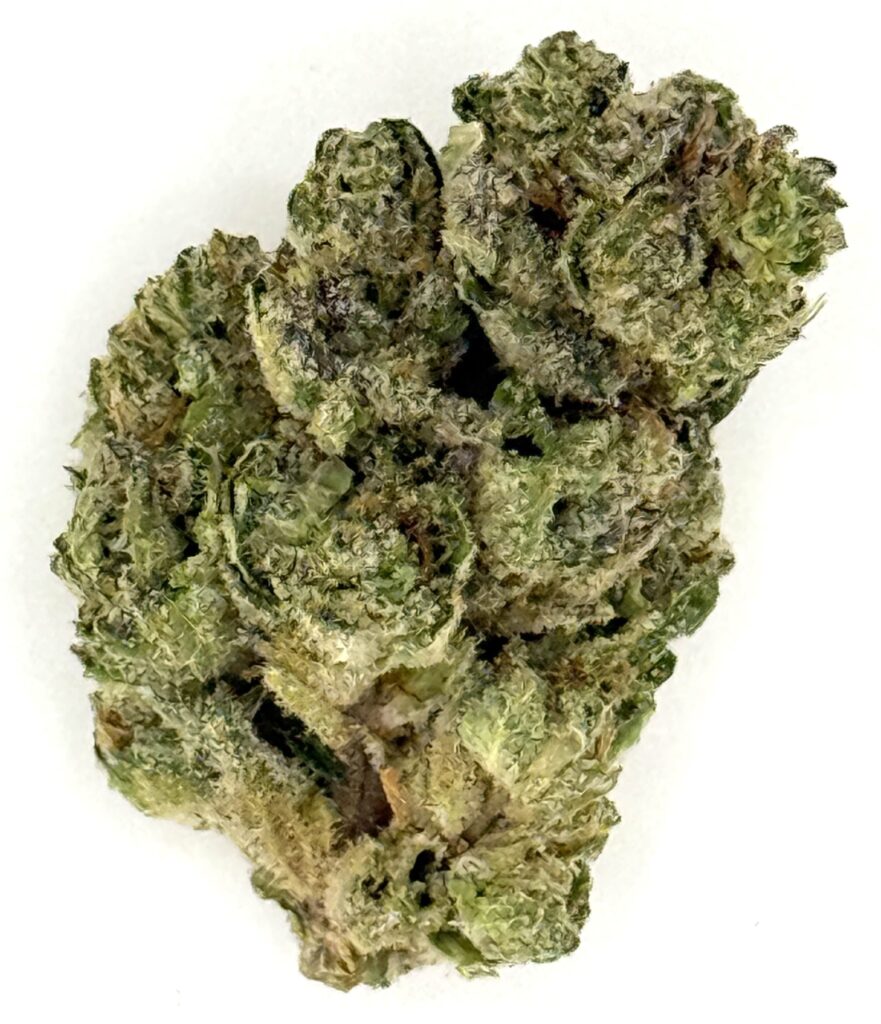 Close-up of a green cannabis flower showcasing its rich texture and frosty trichomes against a white background.