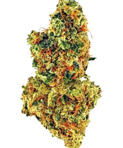 Close-up image of a vibrant cannabis bud showing green and orange hues, ideal for cannabis enthusiasts and growers.