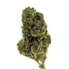 Close-up image of a green cannabis bud, showcasing its dense texture and natural coloring on a white background.