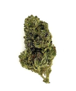 Close-up image of a green cannabis bud, showcasing its dense texture and natural coloring on a white background.