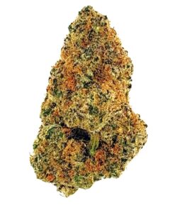 Close-up of a cannabis bud showcasing vibrant green and orange hues, ideal for highlighting its distinct texture and quality.