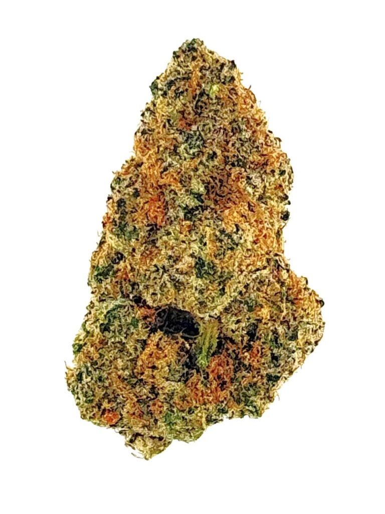 Close-up of a cannabis bud showcasing vibrant green and orange hues, ideal for highlighting its distinct texture and quality.