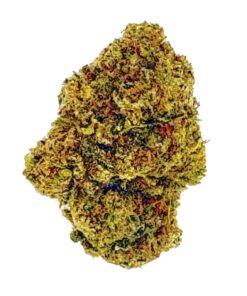 Close-up of cannabis bud displaying vibrant green and orange hues, showcasing trichomes and texture for cultivation insight.