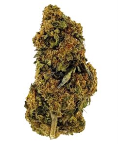 Close-up image of a green cannabis bud showcasing its trichomes and rich texture against a white background.