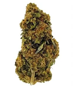 Close-up image of a green cannabis bud showcasing its trichomes and rich texture against a white background.