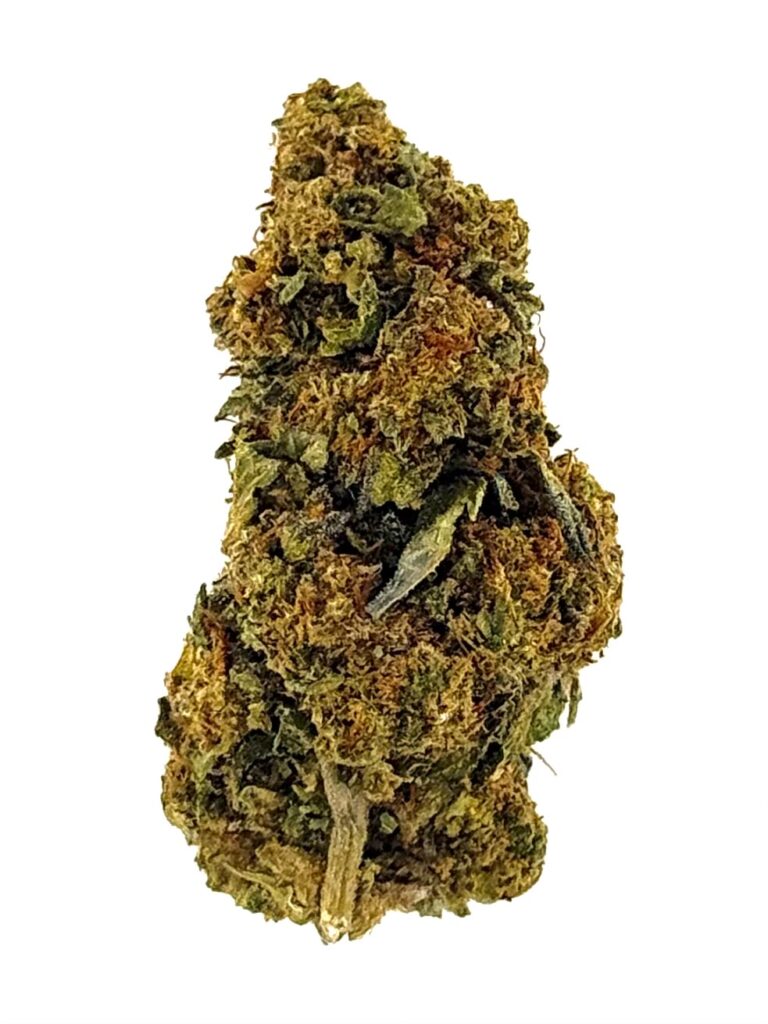 Close-up image of a green cannabis bud showcasing its trichomes and rich texture against a white background.