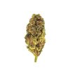 Close-up of a vibrant green cannabis bud with yellow and orange trichomes against a white background.
