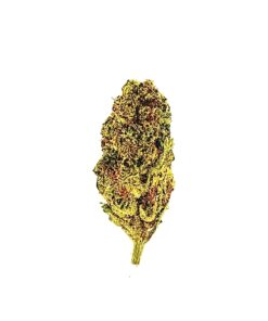 Close-up of a vibrant green cannabis bud with yellow and orange trichomes against a white background.
