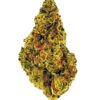 A close-up of vibrant cannabis bud displaying rich green and orange hues, ideal for cannabis enthusiasts and connoisseurs.