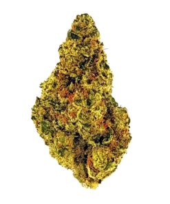 A close-up of vibrant cannabis bud displaying rich green and orange hues, ideal for cannabis enthusiasts and connoisseurs.
