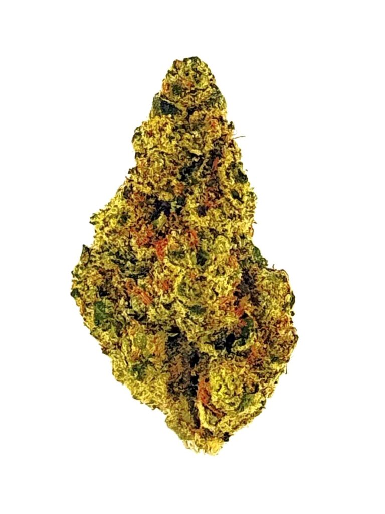 A close-up of vibrant cannabis bud displaying rich green and orange hues, ideal for cannabis enthusiasts and connoisseurs.