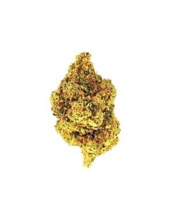 Close-up of a cannabis bud featuring vibrant green and golden hues against a white background. Perfect for herbal enthusiasts.