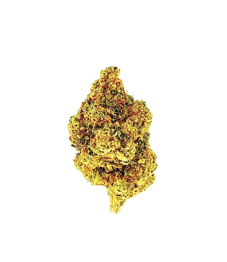 Close-up of a cannabis bud featuring vibrant green and golden hues against a white background. Perfect for herbal enthusiasts.