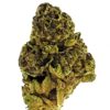 Close-up of a vibrant cannabis bud with rich green and purple hues, showcasing its texture and trichomes against a white background.
